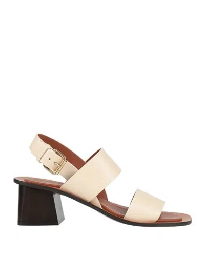 Mansur Gavriel Sanda Woman Sandals Cream Size 8 Leather In White