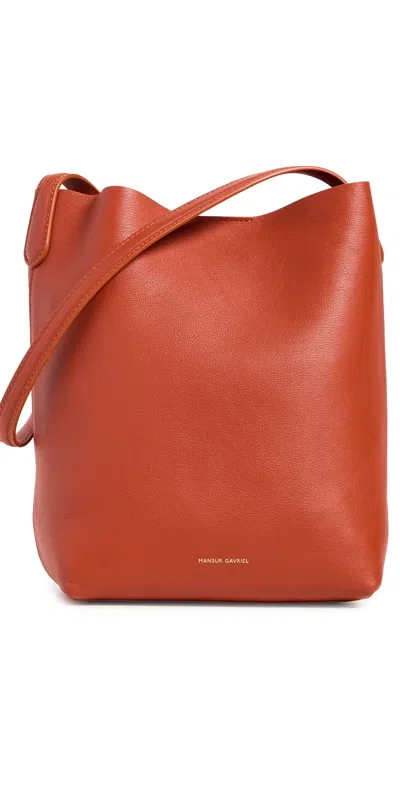 Mansur Gavriel Small Everyday Cabas Bag Pomodoro In Red
