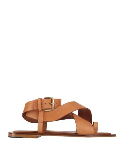 Mansur Gavriel Woman Thong Sandal Camel Size 11 Leather In Brown