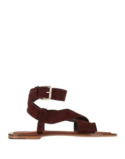 MANSUR GAVRIEL MANSUR GAVRIEL WOMAN THONG SANDAL CHOCOLATE BROWN SIZE 8 LEATHER
