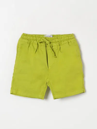 Manuel Ritz Babies' Shorts  Kids Color Green