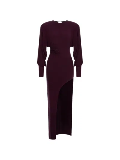 Manurí Maxi Gina Rose-detail Dress In Brown