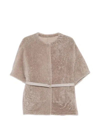 Manzoni 24 Belted Short-sleeve Jacket In Gray