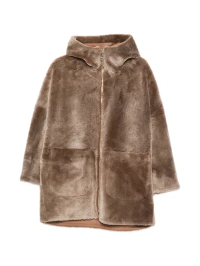 Manzoni 24 Hooded Coat In Brown
