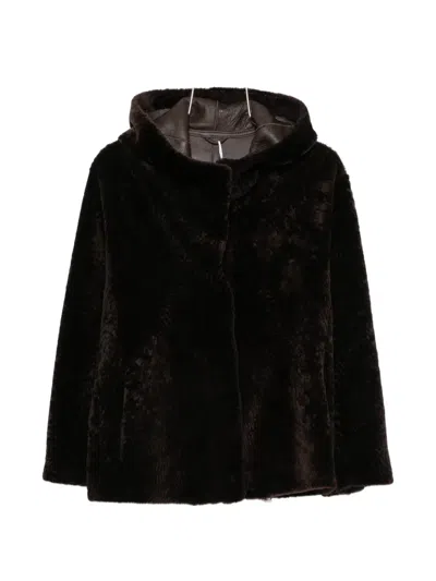 Manzoni 24 Hooded Jacket In Brown