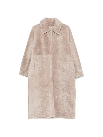 Manzoni 24 Shearling-finish Collared Coat In Neutral