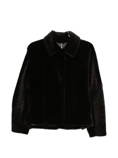 Manzoni 24 Shearling-finish Spread-collar Jacket In Brown