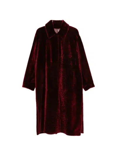 Manzoni 24 Spread-collar Coat In Burgundy