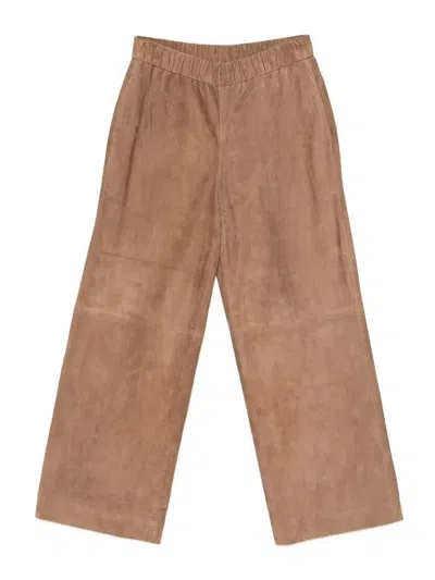 Manzoni 24 Suede Pants In Brown