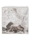 Maouli Neema Animal Scarf In Neutral