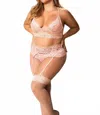 Mapalé Bold Desires Lingerie Set Plus In Rose In Pink