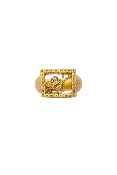 Maple Scorpio Signet In 14k Gold P & Zircon