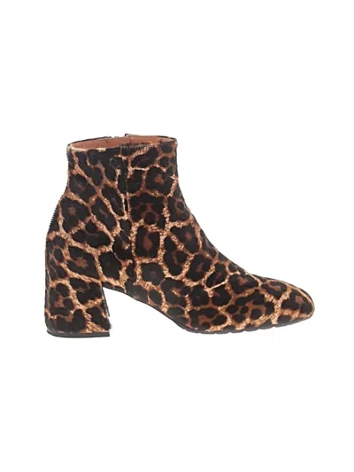 Pre-owned Mara Bini Ankle Boots In Brown