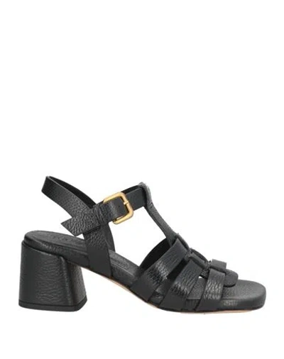 Mara Bini Woman Sandals Black Size 5 Leather