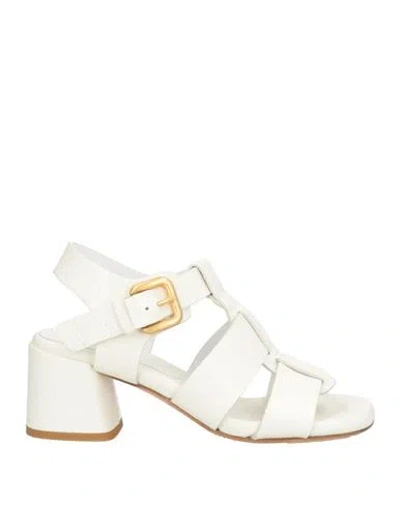 Mara Bini Woman Sandals Cream Size 5 Leather In White