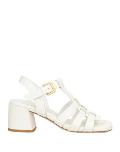 Mara Bini Woman Sandals Cream Size 5 Leather In White