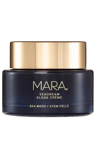Mara Seadream Algae Creme Moisturizer For Firming & Tightening In N,a