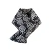 Maraethra Women's Lace Print Padded Silk Scarf In Gray/white