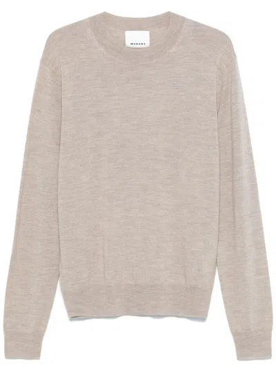 Isabel Marant Basile Sweater In Neutrals
