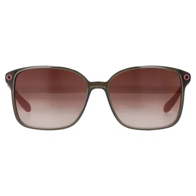 Pre-owned Marc By Marc Jacobs Oversized Butterfly Sunglasses In Brown