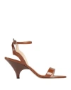 Marc Ellis Woman Sandals Brown Size 8 Leather In Brown