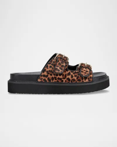 Marc Fisher Ltd Agustaly Leopard Calf Hair Dual-buckle Slide Sandals In Brown