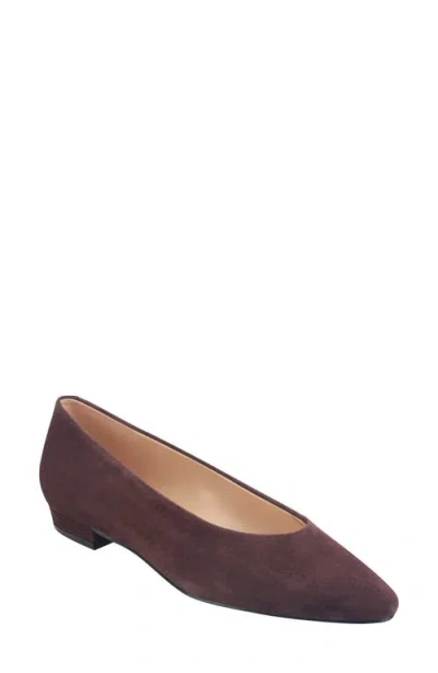 Marc Fisher Ltd Bodie Pointed Toe Flat In Burgundy