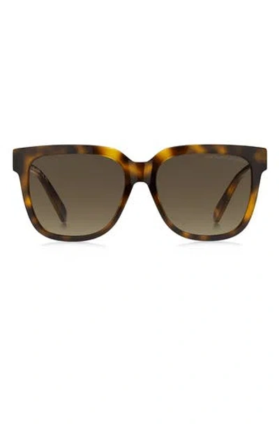 Marc Jacobs 55mm Square Sunglasses In Havana 2