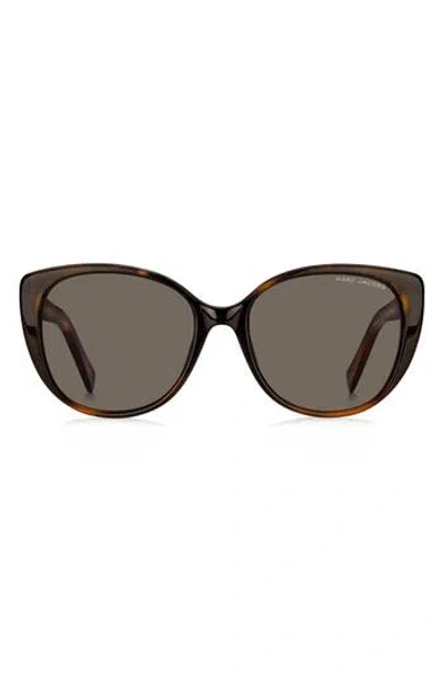 Marc Jacobs The  54mm Rounded Cat Eye Sunglasses In Brown