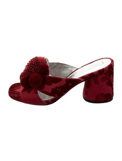 Pre-owned Marc Jacobs Velvet Floral Print Slides In Burgundy