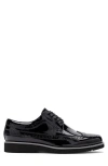 Marc Nolan Alexander Wingtip Derby