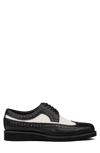Marc Nolan Alexander Wingtip Derby
