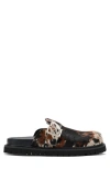 Marc Nolan Shiloh Mule