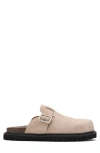 Marc Nolan Shiloh Mule