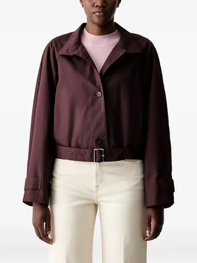 Marc O'polo Belted Cropped Jacket In Burgundy