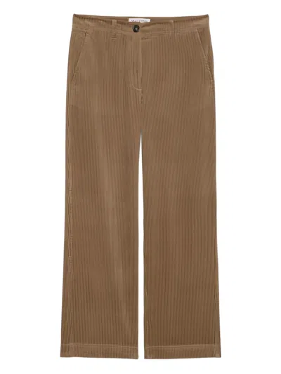 Marc O'polo Corduroy Trousers In Brown