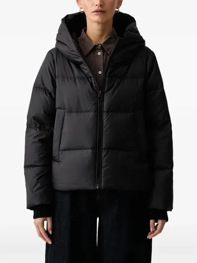 Marc O'polo Hooded Puffer Jacket In Black