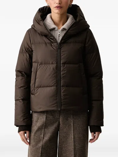 Marc O'polo Hooded Puffer Jacket In Brown