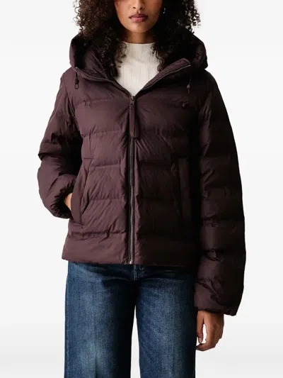 Marc O'polo Hooded Puffer Jacket In Burgundy