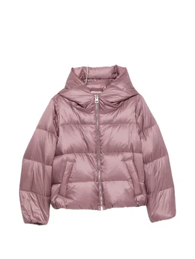 Marc O'polo Quilted Hooded Jacket In Pink