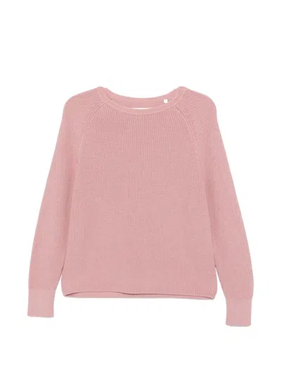 Marc O'polo Raglan-sleeve Knitted Knit In Pink