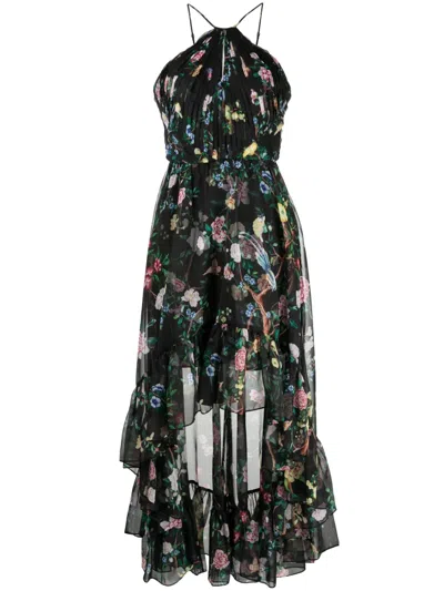 Marchesa Notte Floral-print Halterneck Dress In Schwarz