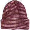 Marcus Adler Checkered Cuffed Knit Beanie In Plum