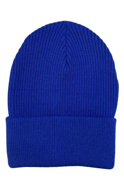 Marcus Adler Rib Knit Cuff Beanie In Cobalt Blue