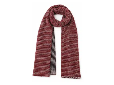 Marcus Adler Two Tone Knit Scarf In Burgundy