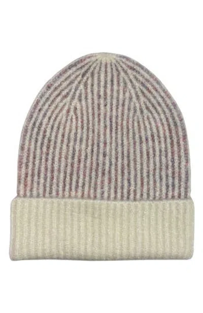 Marcus Adler Two-tone Rib Knit Cuff Beanie In Neutral