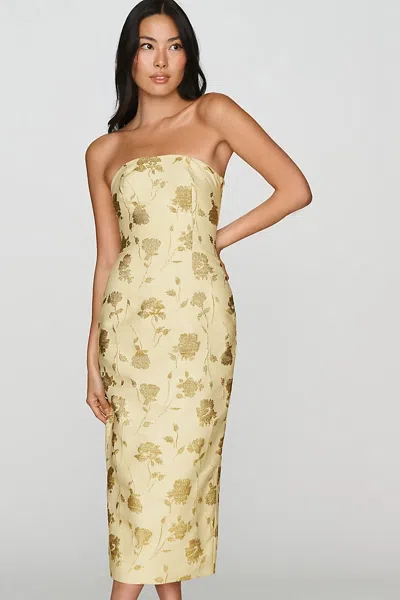 Mare Mare Brocade Column Midi Dress In Neutral