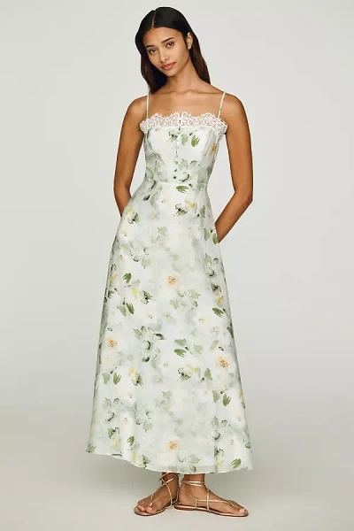 Mare Mare Lace-trim Midi Dress In Transparent