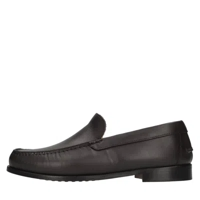 Marechiaro 1962 Flat Shoes In Brown