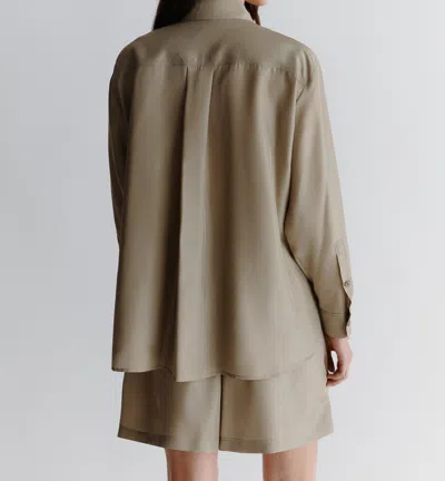 Marella Alec In Brown